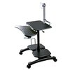 Aidata Sit/Stand Mobile PC Workstation, Black, LCD/LED Monitor Mount LDC003P